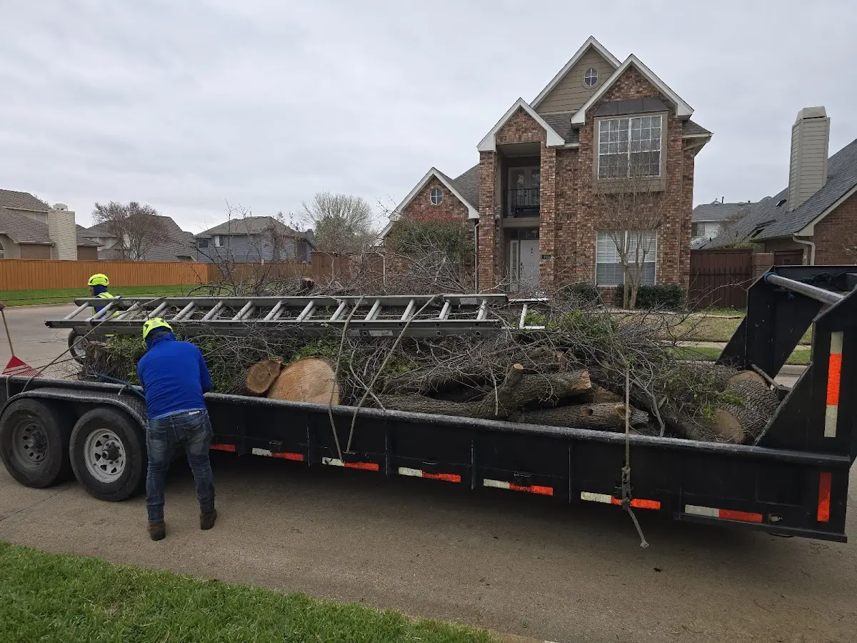 Expert Tree Fertilization with proper safety equipment in Cass City